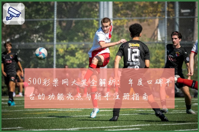 500彩票网大奖全解析：年度口碑平台的功能亮点与新手注册指南