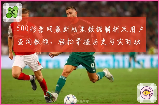 500彩票网最新结果数据解析及用户查询教程，轻松掌握历史与实时动态