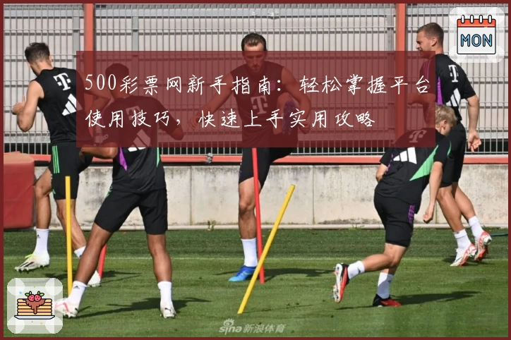 500彩票网新手指南：轻松掌握平台使用技巧，快速上手实用攻略