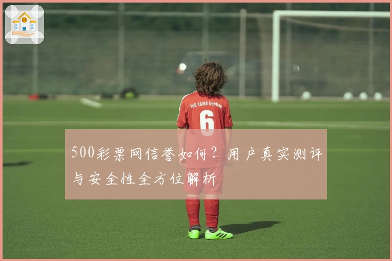 500彩票网信誉如何？用户真实测评与安全性全方位解析