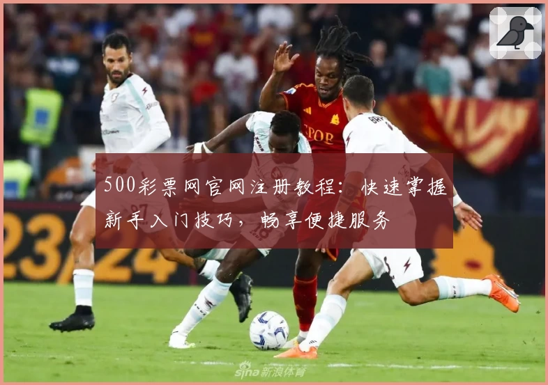 500彩票网官网注册教程：快速掌握新手入门技巧，畅享便捷服务