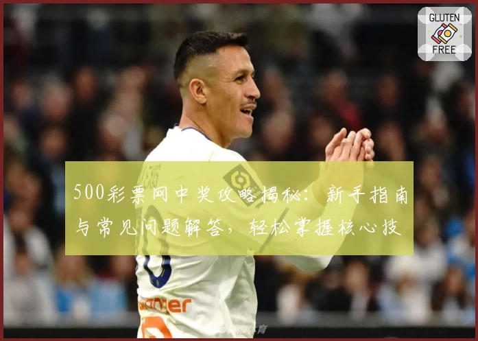 500彩票网中奖攻略揭秘：新手指南与常见问题解答，轻松掌握核心技巧